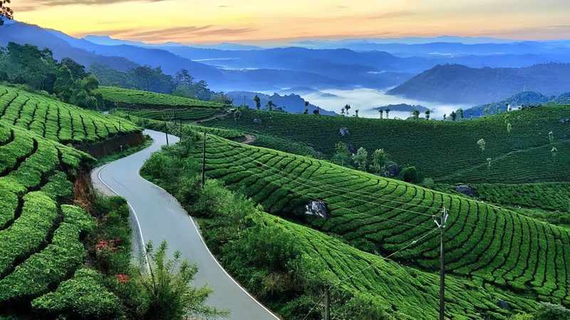 Kashmir